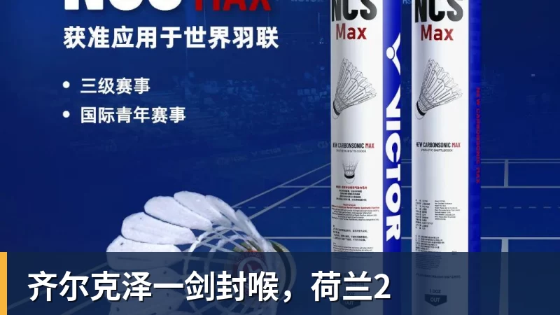 华体会体育齐尔克泽一剑封喉，荷兰2